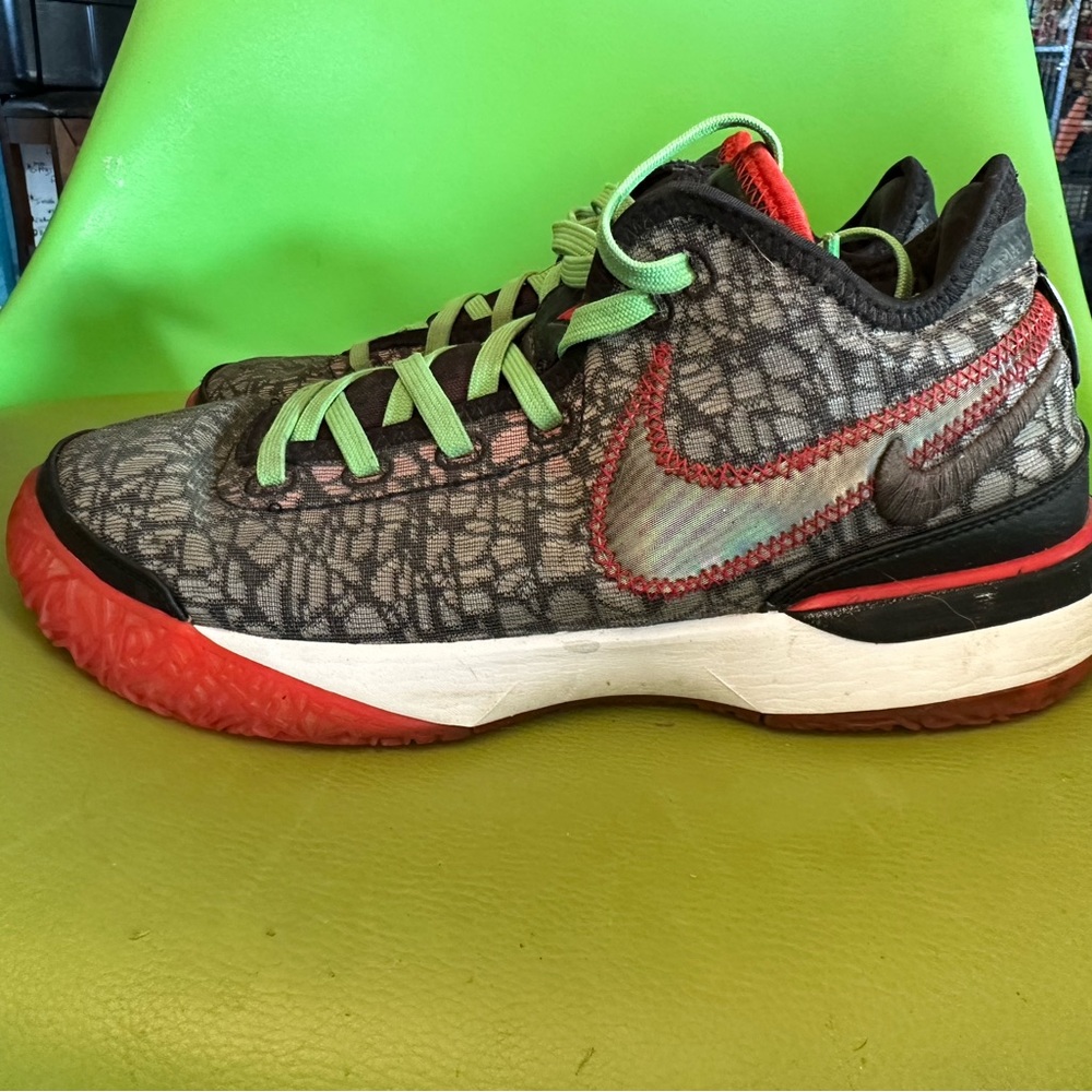 Nike LeBron size 7.5